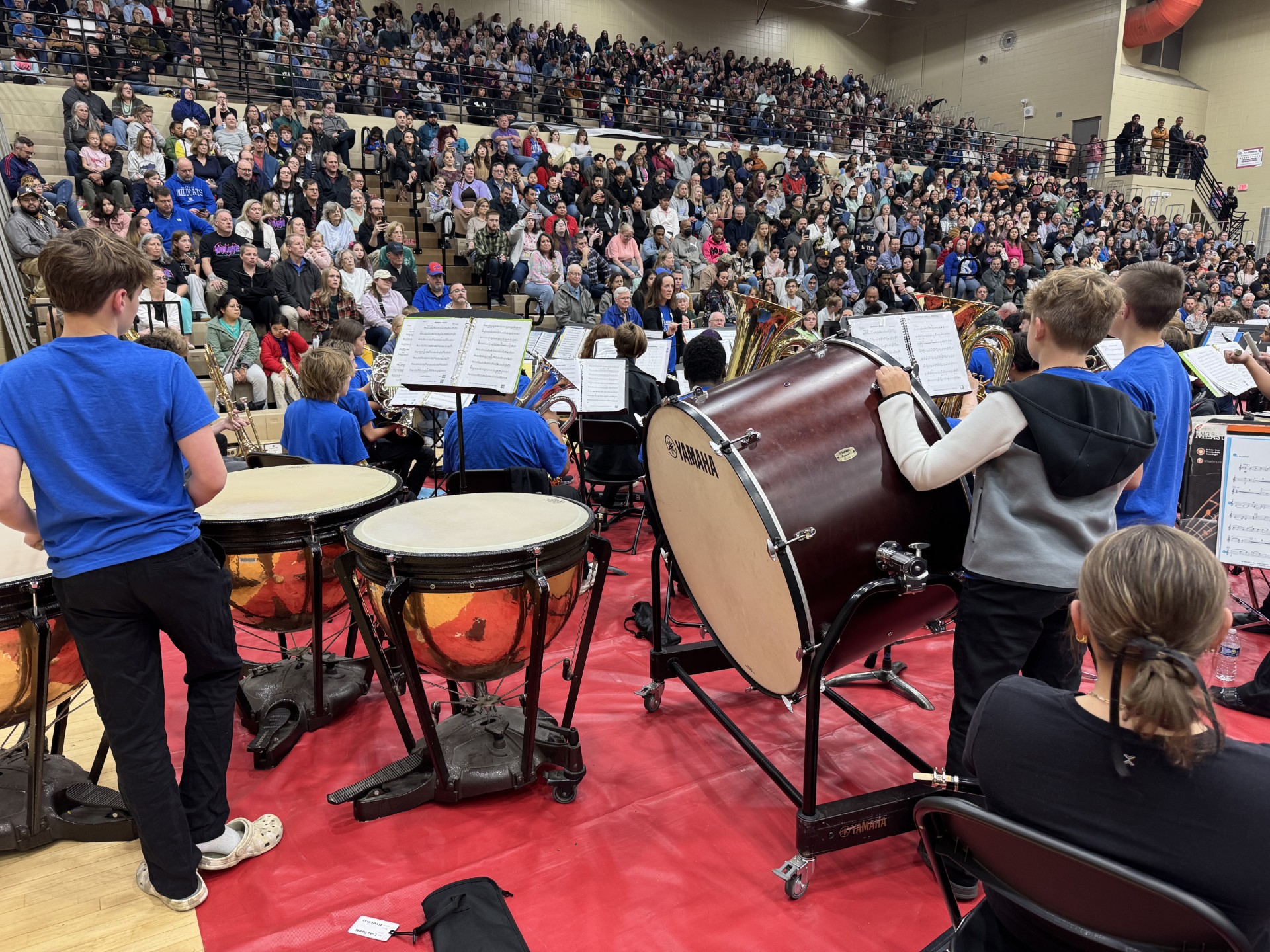 a3868c4d-3cf1-466c-b0c8-0edf8618d8fe – Zach Shannon