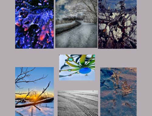 NTI Cell Phone Photography