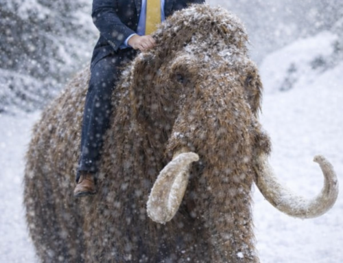 NTI Days..When Teachers Become Artists