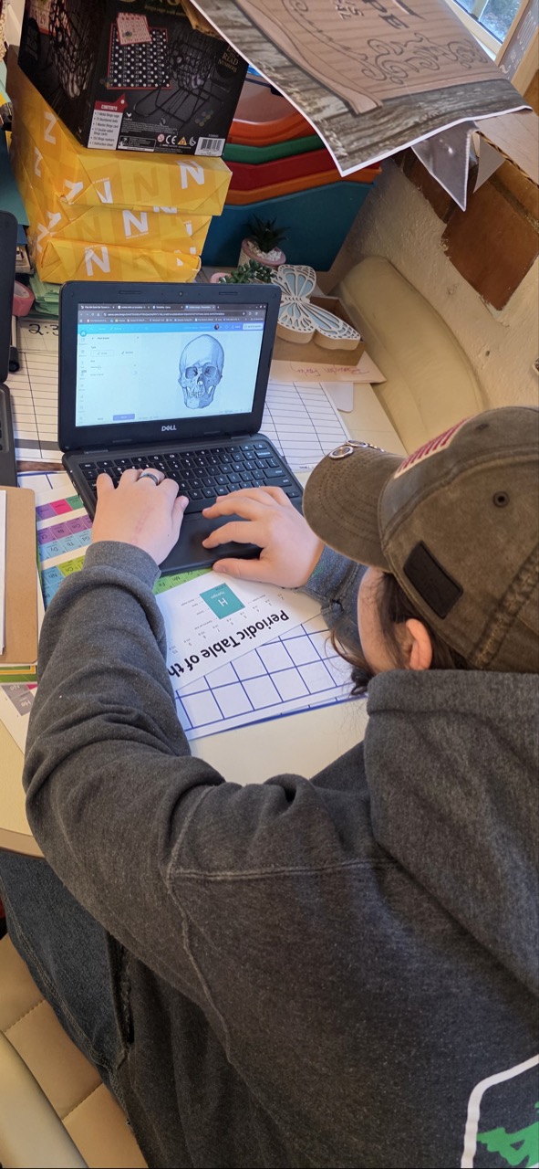 20260318_081831 – Carla Prather Large